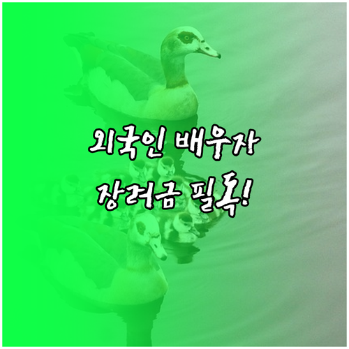 image cf4a0c96