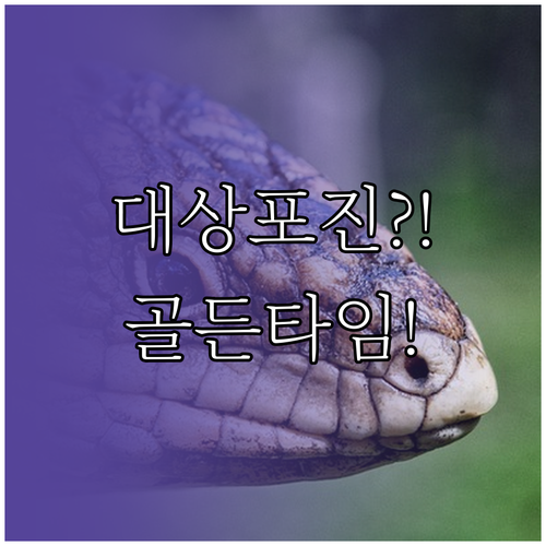 image d5903406