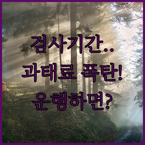 image c7b61ae7